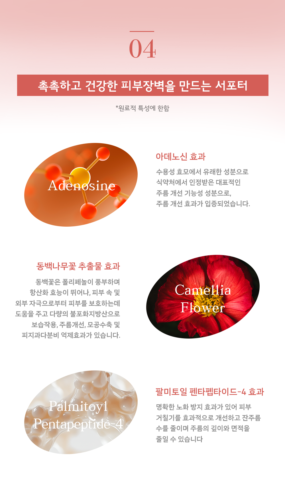 모이스처라이저